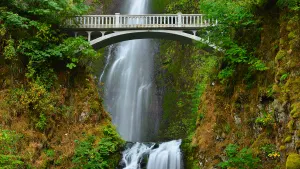 Multnomah Falls & Gorge Waterfalls